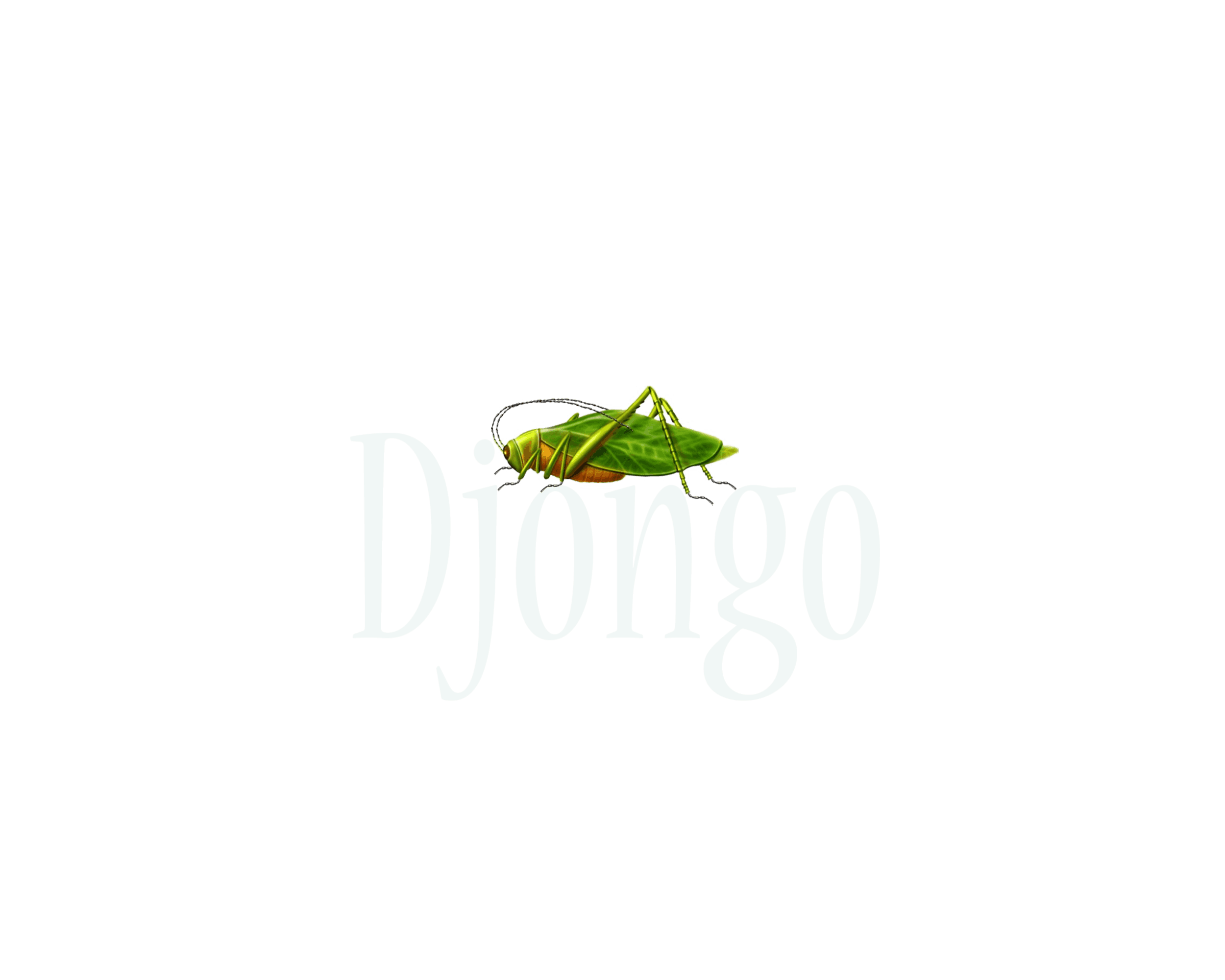 Djongo Sistemas